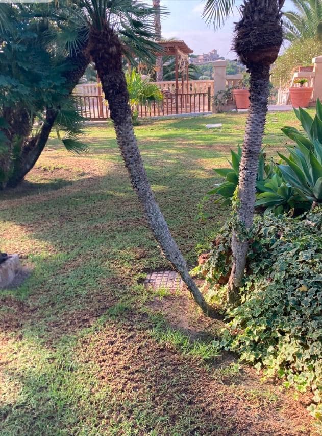 Finca/Casa Rural en Novelda en venta con piscina garaje - 1.260.000 € (Ref: 9491686)