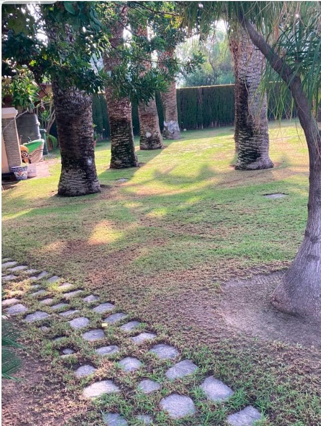 Finca/Casa Rural en Novelda en venta con piscina garaje - 1.260.000 € (Ref: 9491686)