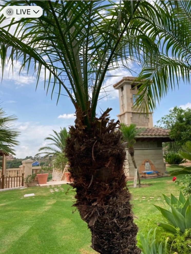 Finca/Casa Rural en Novelda en venta con piscina garaje - 1.260.000 € (Ref: 9491686)