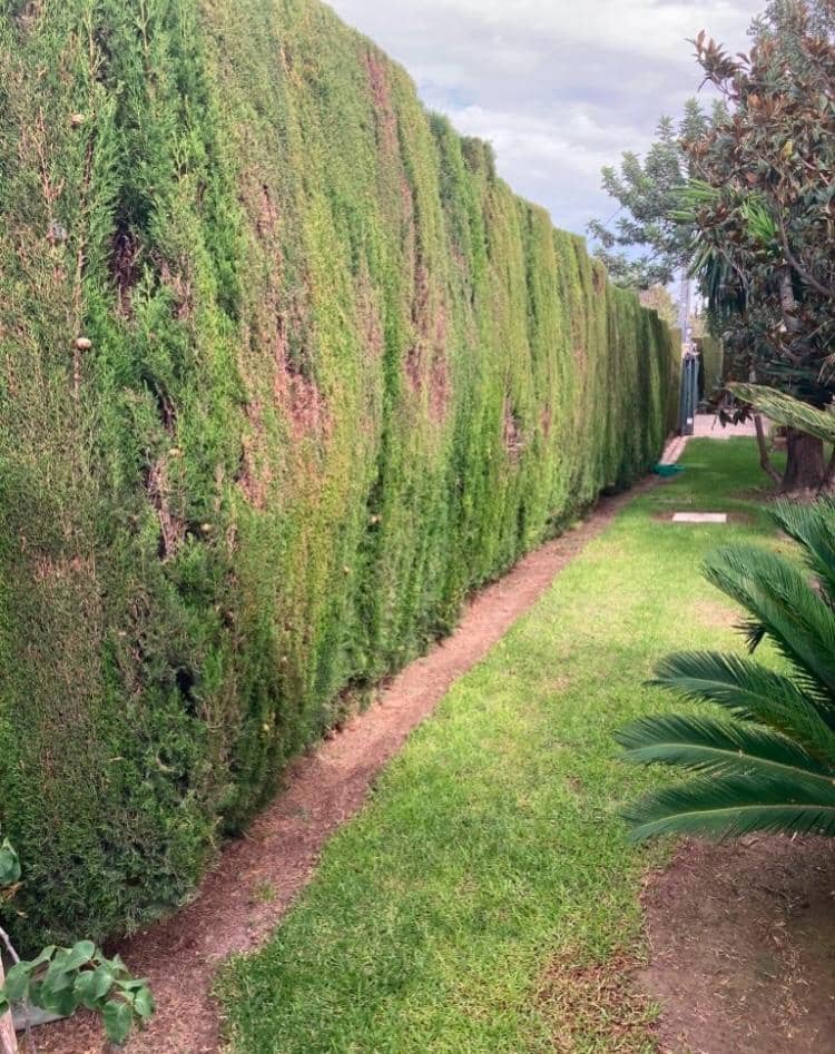 Finca/Casa Rural en Novelda en venta con piscina garaje - 1.260.000 € (Ref: 9491686)