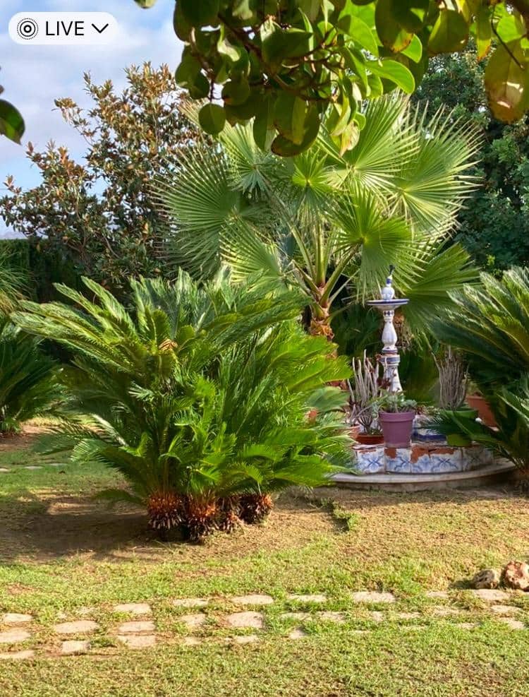 Finca/Casa Rural en Novelda en venta con piscina garaje - 1.260.000 € (Ref: 9491686)