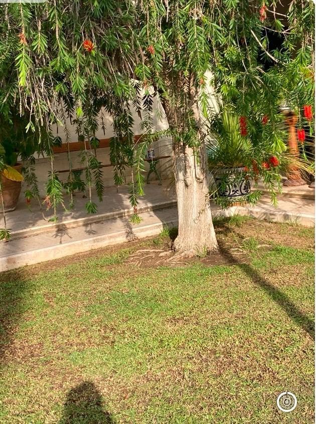 Finca/Casa Rural en Novelda en venta con piscina garaje - 1.260.000 € (Ref: 9491686)