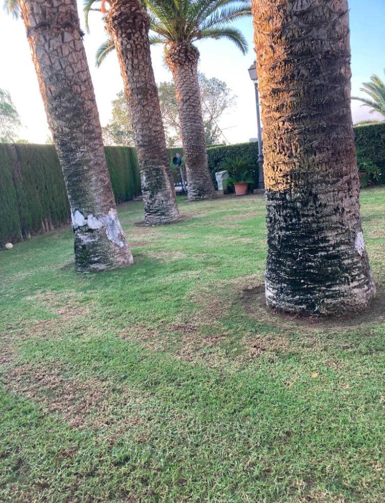 Finca/Casa Rural en Novelda en venta con piscina garaje - 1.260.000 € (Ref: 9491686)