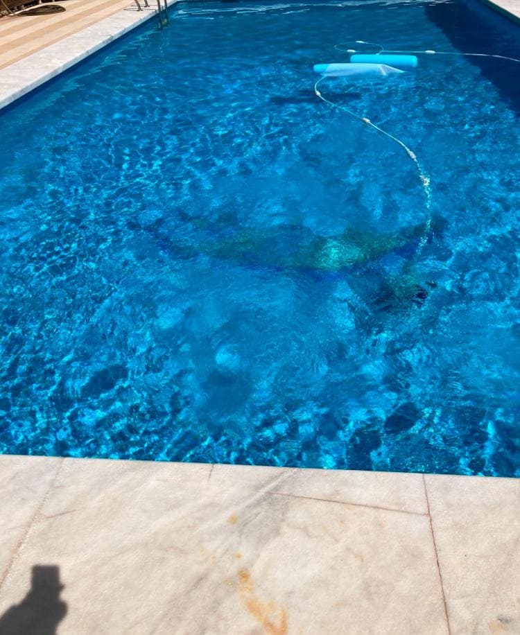 8 quarto Moradia para venda em Novelda com piscina garagem - 1 300 000 € (Ref: 9491686)