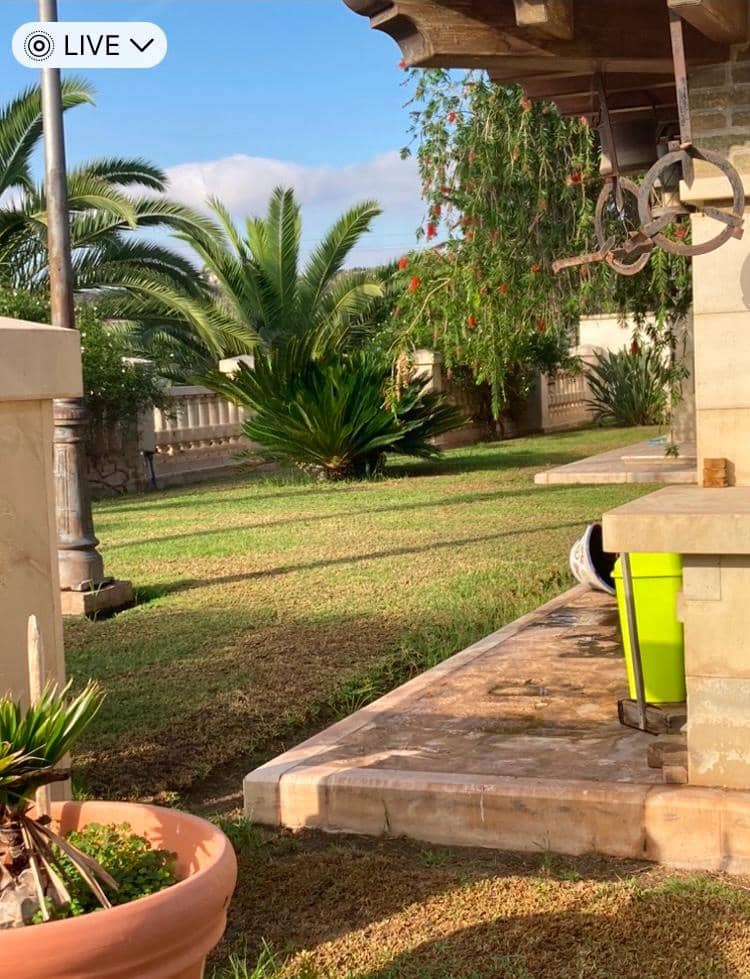 8 quarto Moradia para venda em Novelda com piscina garagem - 1 300 000 € (Ref: 9491686)