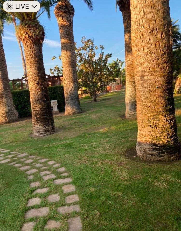 8 quarto Moradia para venda em Novelda com piscina garagem - 1 300 000 € (Ref: 9491686)