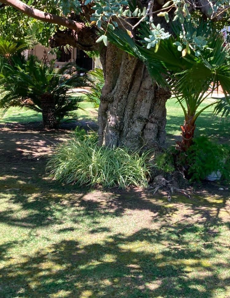 8 quarto Moradia para venda em Novelda com piscina garagem - 1 300 000 € (Ref: 9491686)