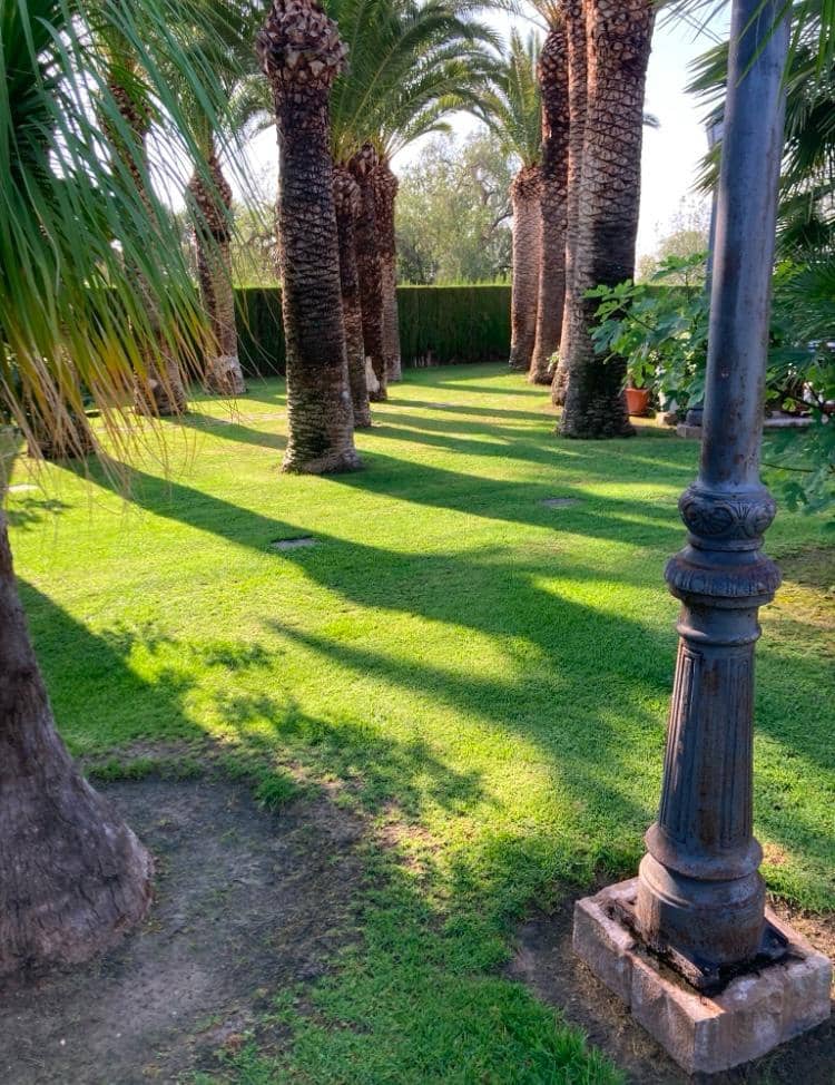 8 quarto Moradia para venda em Novelda com piscina garagem - 1 300 000 € (Ref: 9491686)
