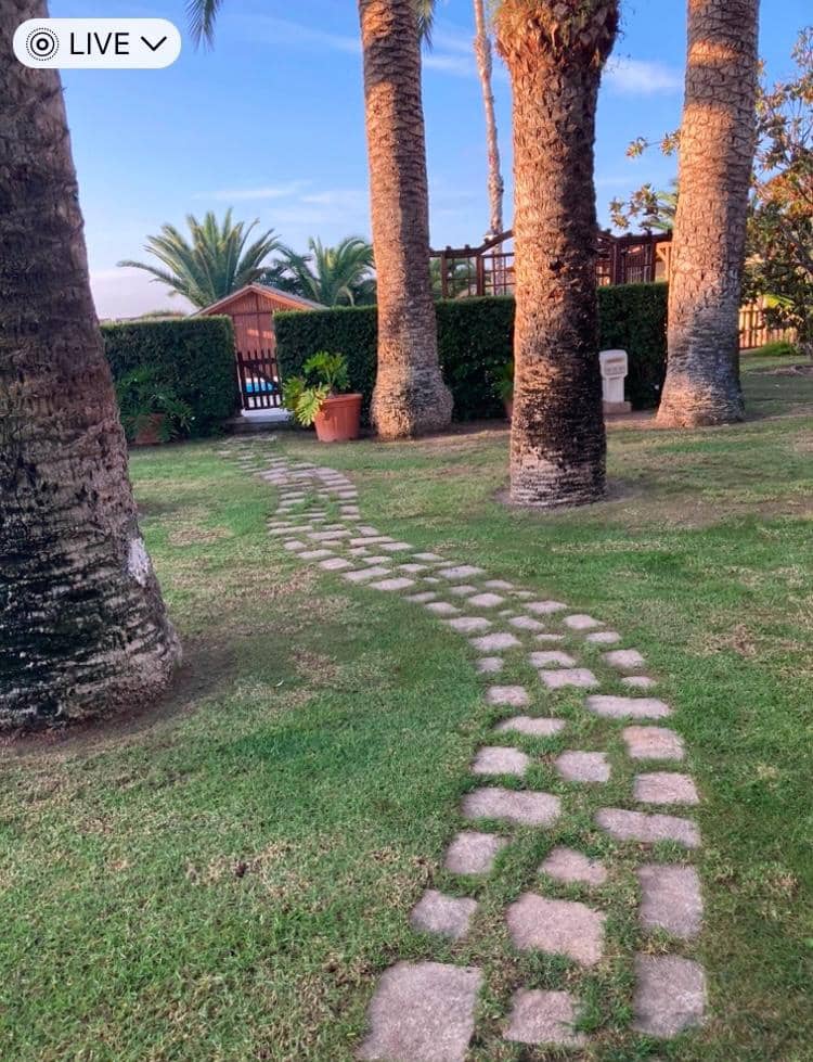 8 quarto Moradia para venda em Novelda com piscina garagem - 1 300 000 € (Ref: 9491686)