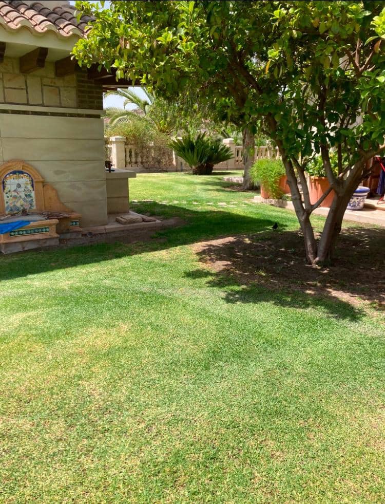 8 quarto Moradia para venda em Novelda com piscina garagem - 1 300 000 € (Ref: 9491686)