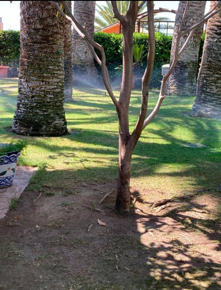 8 quarto Moradia para venda em Novelda com piscina garagem - 1 300 000 € (Ref: 9491686)