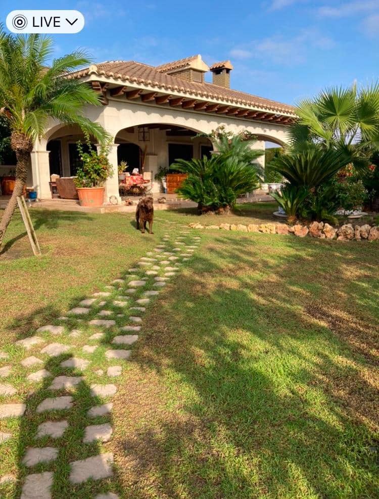 8 quarto Moradia para venda em Novelda com piscina garagem - 1 300 000 € (Ref: 9491686)