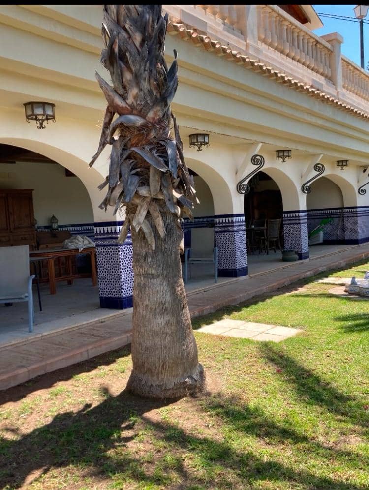 8 quarto Moradia para venda em Novelda com piscina garagem - 1 300 000 € (Ref: 9491686)