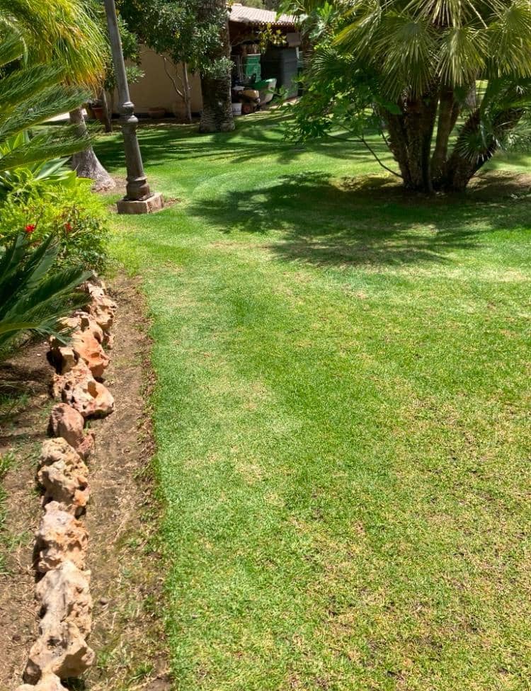 8 quarto Moradia para venda em Novelda com piscina garagem - 1 300 000 € (Ref: 9491686)