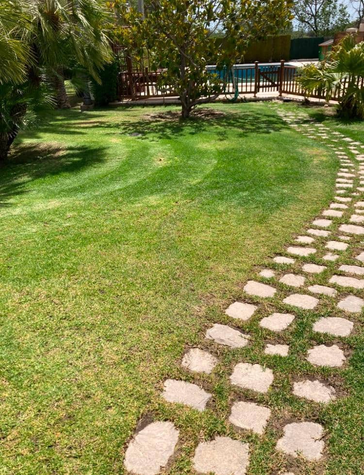 8 quarto Moradia para venda em Novelda com piscina garagem - 1 300 000 € (Ref: 9491686)