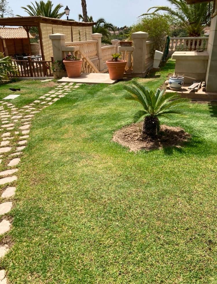8 quarto Moradia para venda em Novelda com piscina garagem - 1 300 000 € (Ref: 9491686)
