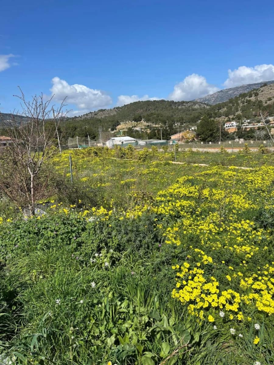 4 soveværelse Finca/Landehus til salg i Polop med swimmingpool garage - € 2.000.000 (Ref: 9495595)