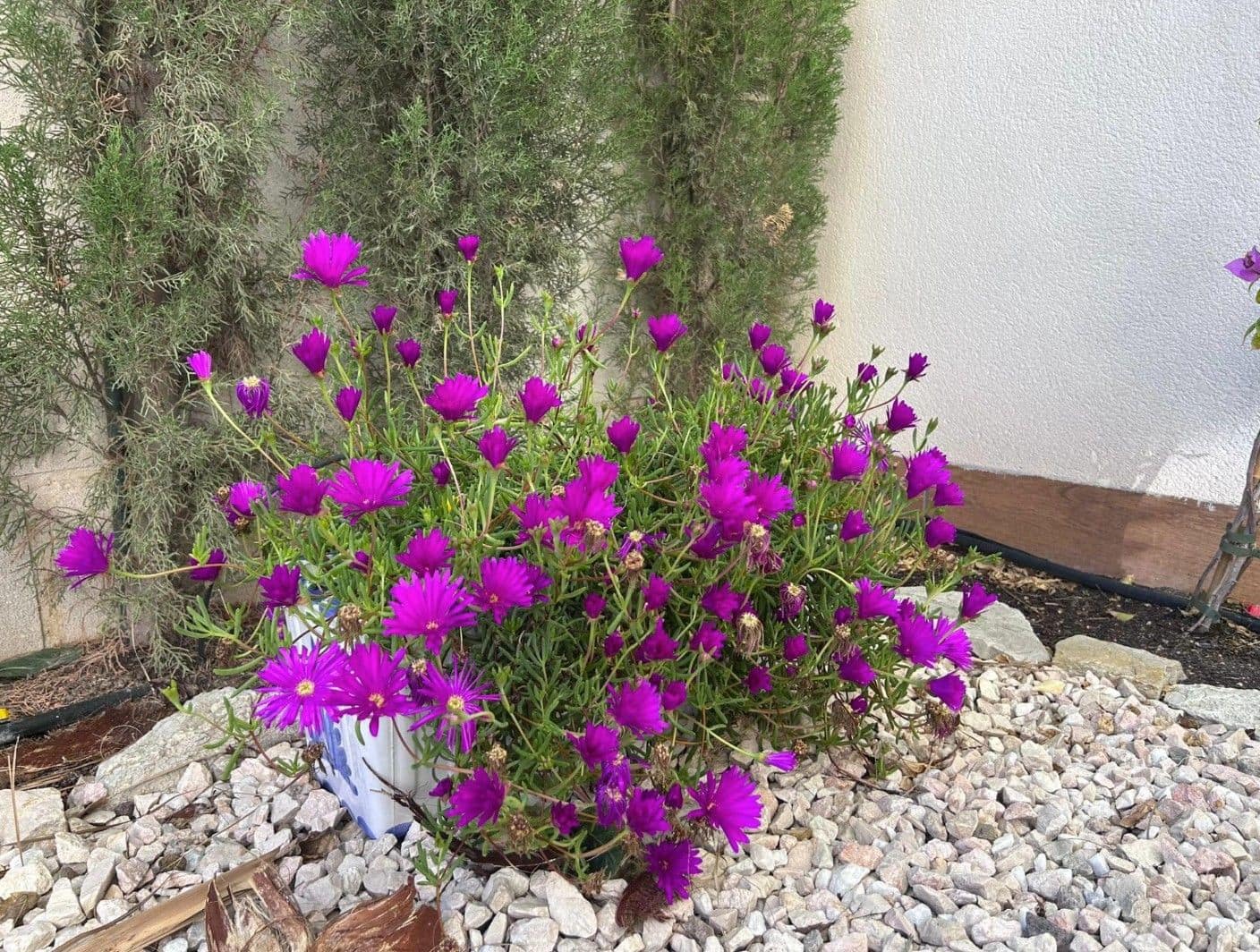 3 chambre Bungalow à vendre à Finestrat avec piscine garage - 390 000 € (Ref: 9761527)