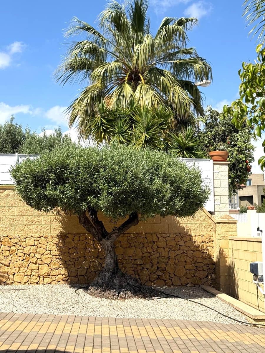 3 slaapkamer Villa te koop in La Nucia met garage - € 525.000 (Ref: 9827562)