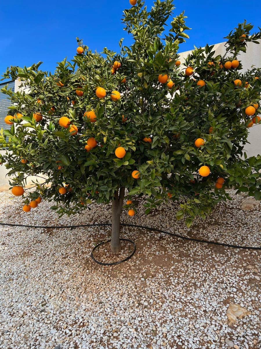 Chalet de 5 habitaciones en Altea en venta con piscina garaje - 3.495.000 € (Ref: 9854459)