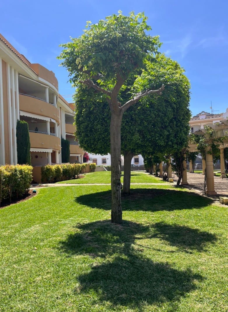 2 bedroom Apartment for sale in Denia with pool garage - € 285,000 (Ref: 9858970)