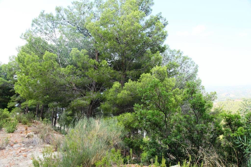 Solar/Parcela en Altea en venta - 3.000.000 € (Ref: 9907167)