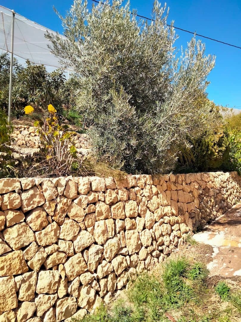 3 soverom Finca/Herregård til salgs i Callosa d'En Sarria med garasje - € 268 000 (Ref: 9907223)