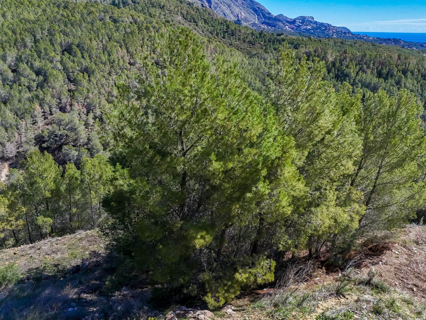 Terrain à Bâtir à vendre à Altea - 199 000 € (Ref: 9907248)