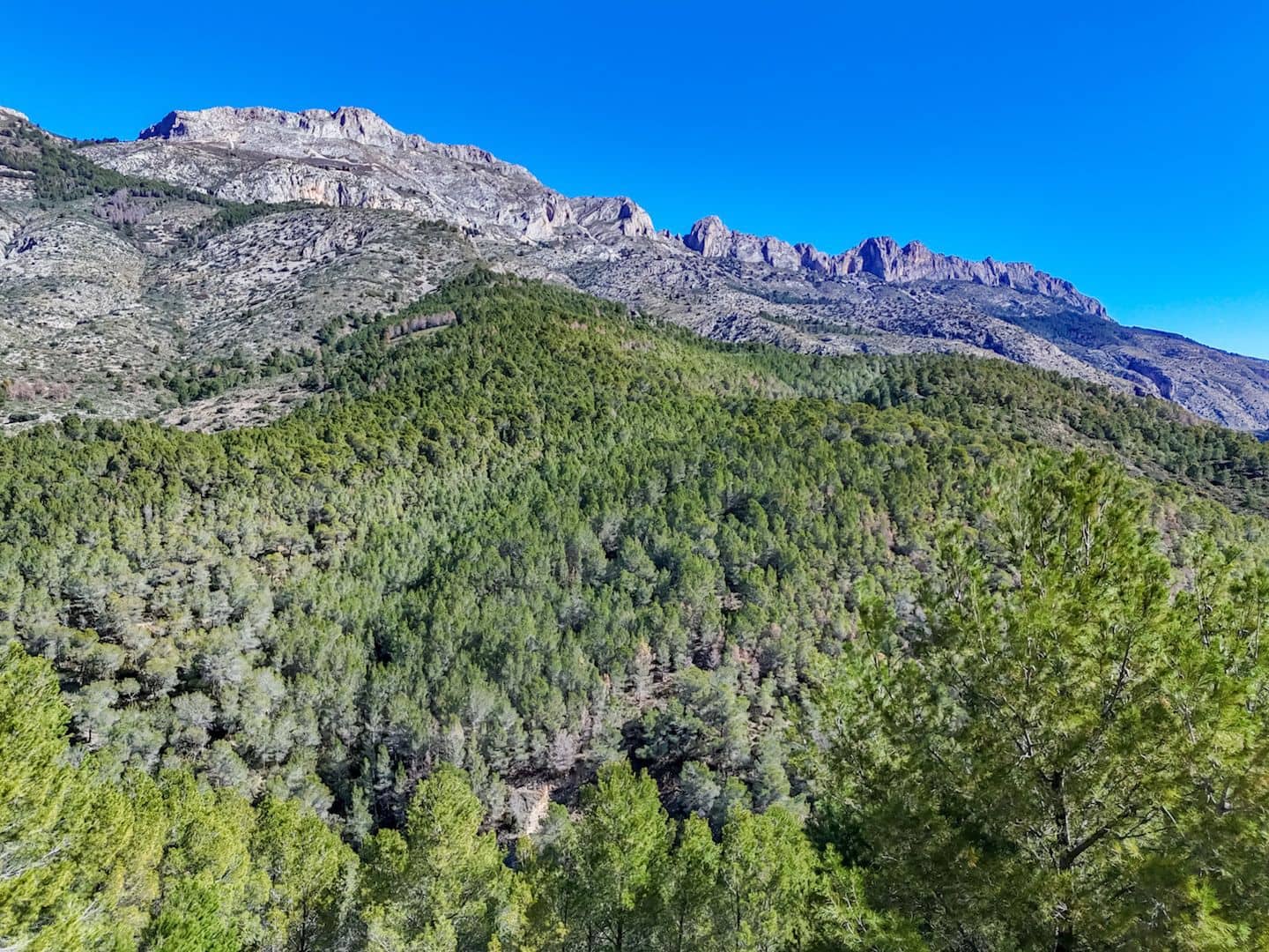 Terrain à Bâtir à vendre à Altea - 199 000 € (Ref: 9907248)