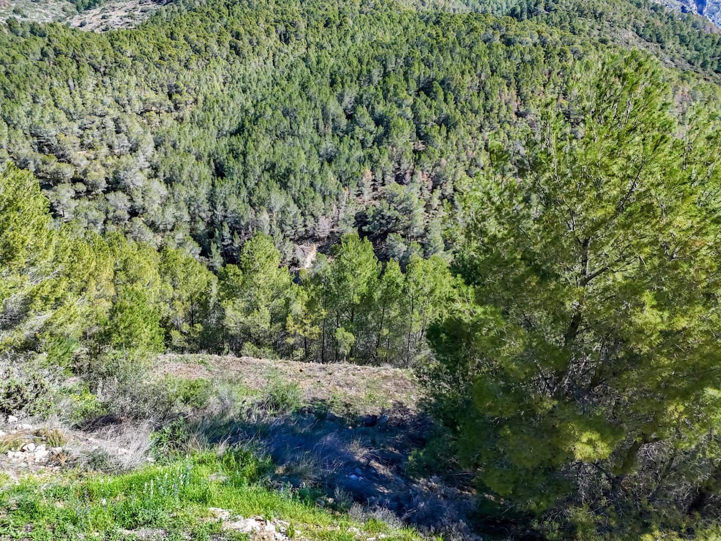 Terrain à Bâtir à vendre à Altea - 199 000 € (Ref: 9907248)