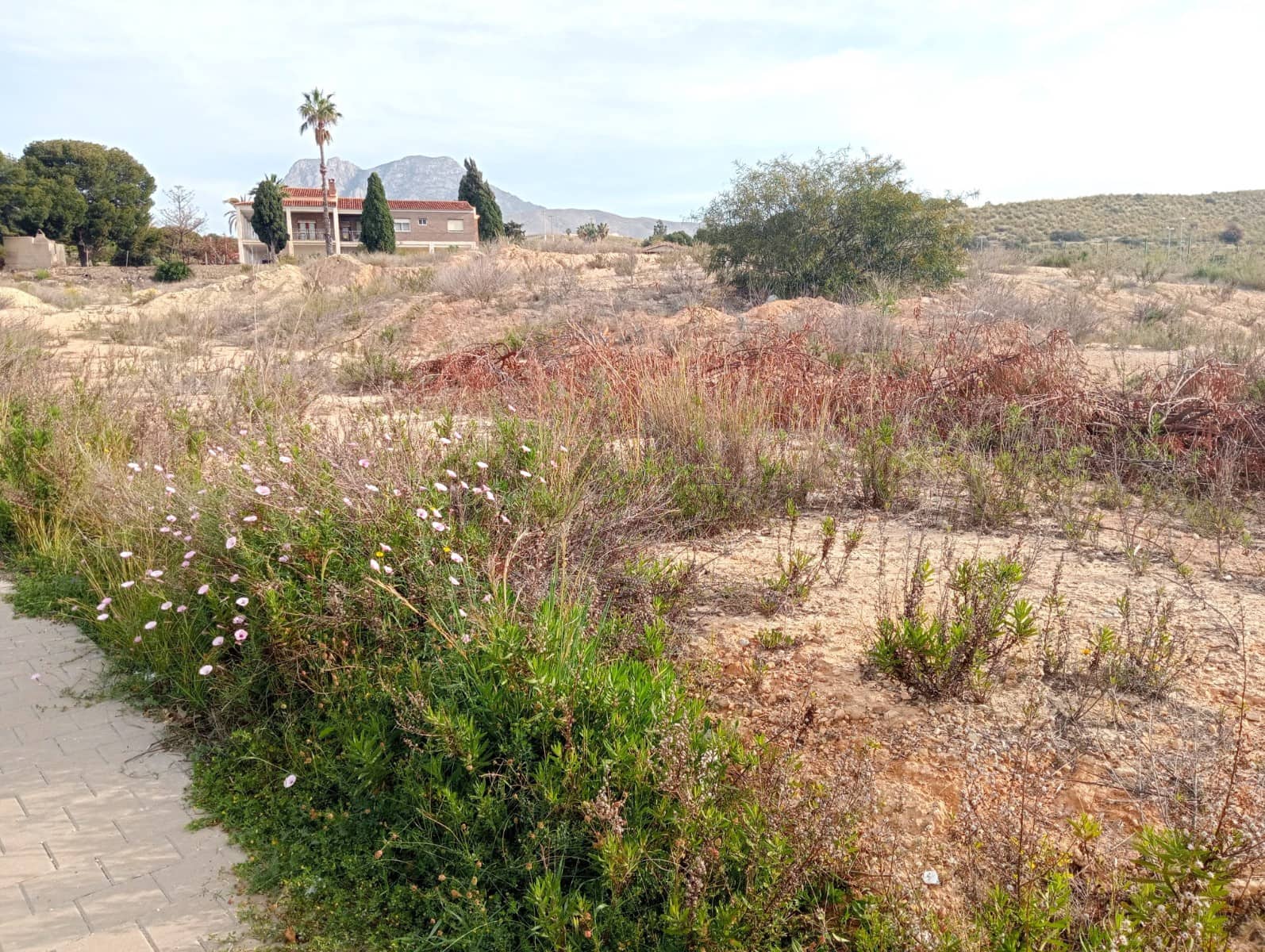 Byggegrund til salg i La Villajoyosa / Vila Joiosa - € 1.333.000 (Ref: 9928405)