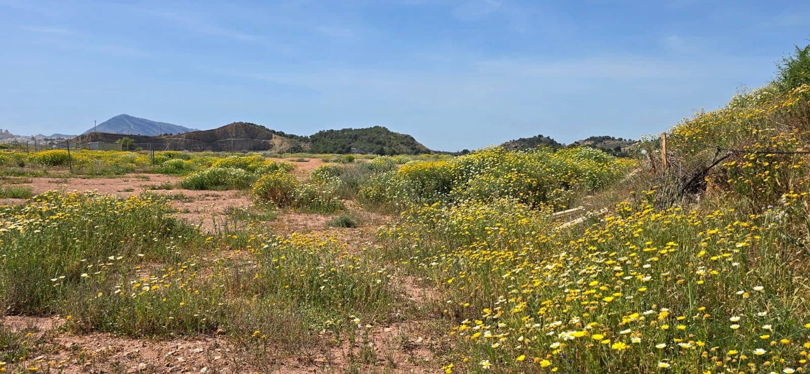 Building Plot for sale in Altea - € 58,000 (Ref: 9928421)