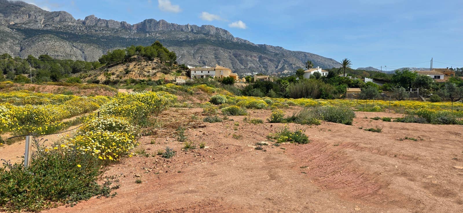 Building Plot for sale in Altea - € 58,000 (Ref: 9928421)