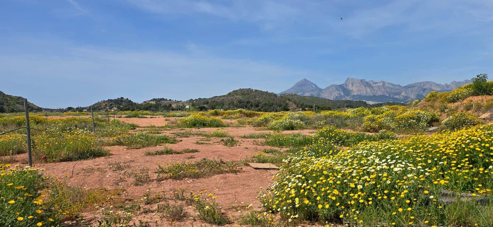 Building Plot for sale in Altea - € 58,000 (Ref: 9928421)