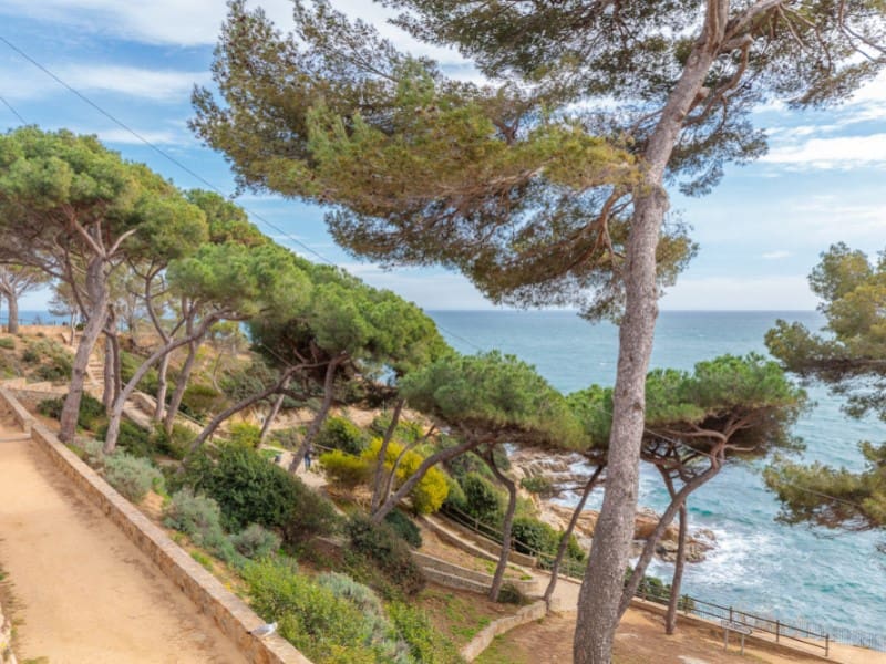 Grunde uden byggetilladelser til salg i Lloret de Mar - € 230.000 (Ref: 5121786)