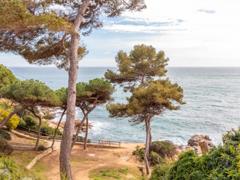 Grunde uden byggetilladelser til salg i Lloret de Mar - € 230.000 (Ref: 5121786)