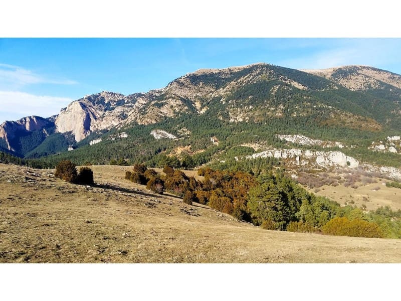 1 bedroom Finca/Country House for sale in Figols - € 7,000,000 (Ref: 5121806)