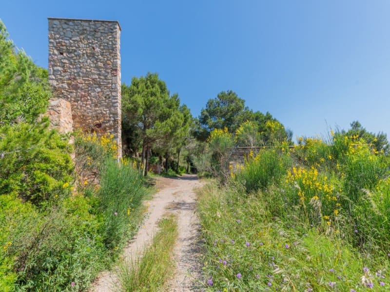 Grunde uden byggetilladelser til salg i Begur - € 2.600.000 (Ref: 5312259)