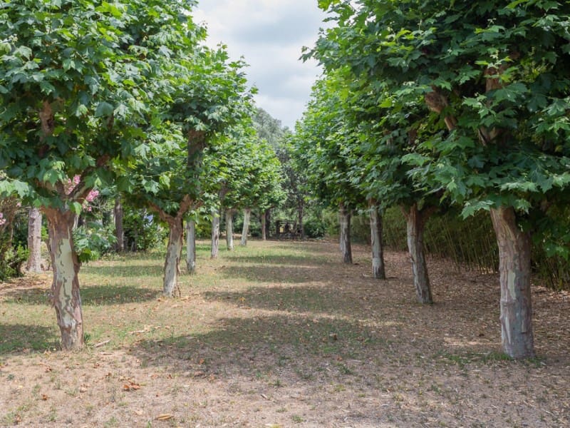 12 soveværelse Villa til salg i Vidreres med swimmingpool garage - € 710.000 (Ref: 7705954)