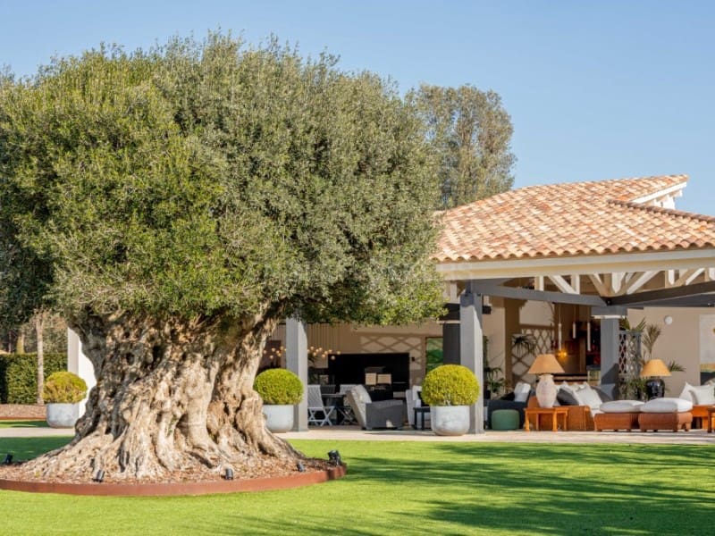 6 sypialnia Willa na sprzedaż w Gualta z basenem garażem - 3 690 000 € (Ref: 7715293)