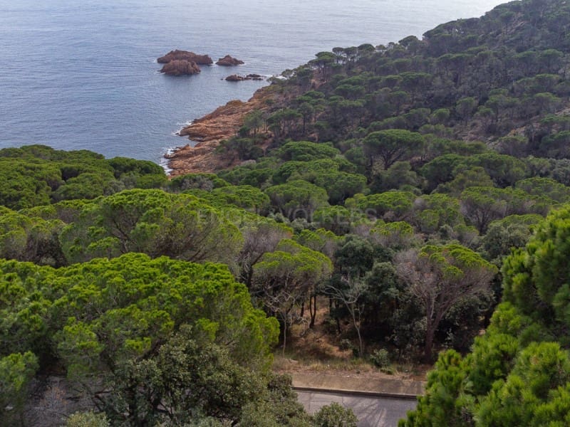 Grunde uden byggetilladelser til salg i Sant Feliu de Guixols - € 1.150.000 (Ref: 8045856)