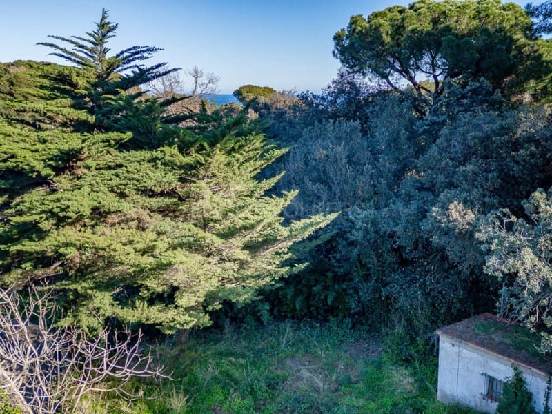 Byggegrund til salg i Calonge i Sant Antoni - € 327.000 (Ref: 8784549)