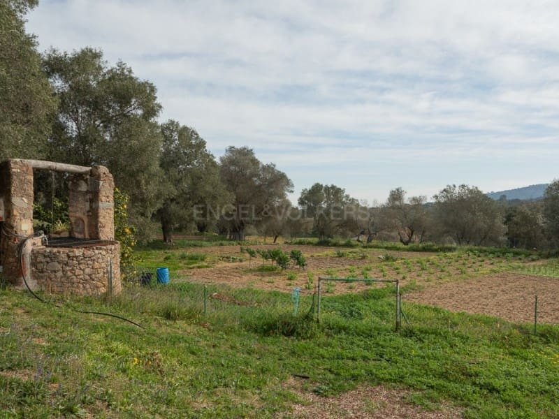 7 makuuhuone Maalaistalo myytävänä paikassa Santa Cristina d'Aro - 1 550 000 € (Ref: 8863314)