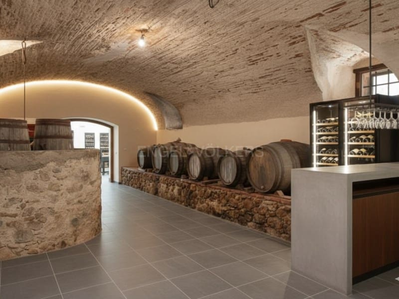 7 makuuhuone Maalaistalo myytävänä paikassa Santa Cristina d'Aro - 1 550 000 € (Ref: 8863314)