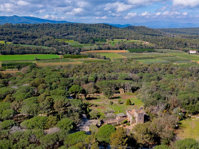 4 soveværelse Finca/Landehus til salg i La Pera med swimmingpool - € 990.000 (Ref: 8894972)