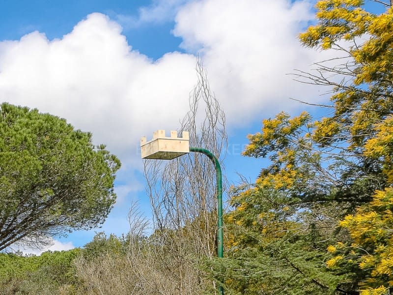 4 soveværelse Finca/Landehus til salg i La Pera med swimmingpool - € 990.000 (Ref: 8894972)