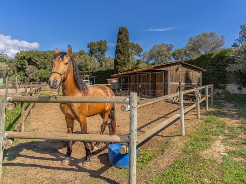 5 soveværelse Finca/Landehus til salg i Vall-llobrega med swimmingpool garage - € 1.585.000 (Ref: 8971374)