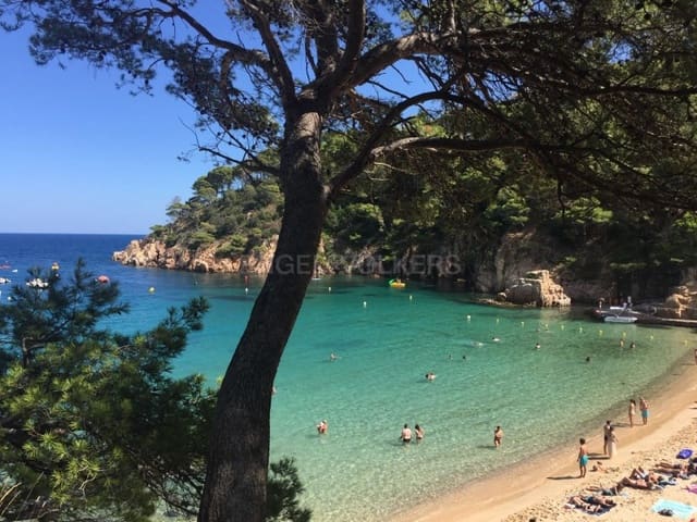 6 chambre Villa/Maison à vendre à Begur avec piscine - 2 750 000 € (Ref: 9171492)