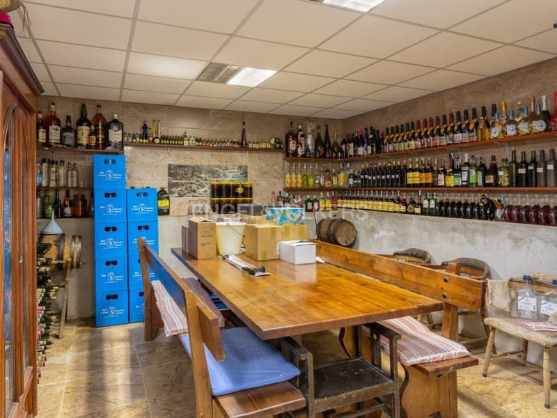 5 makuuhuone Huvila myytävänä paikassa Arbucies mukana uima-altaan - 489 000 € (Ref: 9312692)