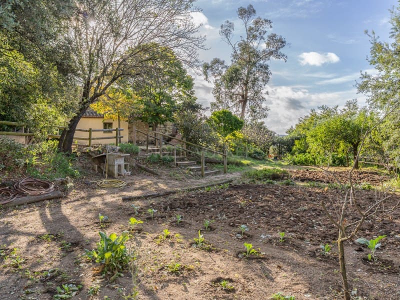 5 slaapkamer Finca/Landhuis te koop in Massanes met zwembad garage - € 920.000 (Ref: 9368972)